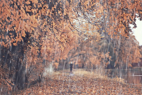 Depresja sezonowa – jak sobie z nią poradzić? LIFESTYLE, Psychologia -