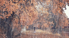 Depresja sezonowa – jak sobie z nią poradzić? LIFESTYLE, Psychologia -