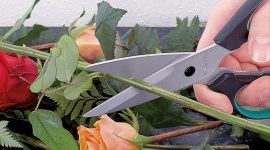 Zostań w domu. Stwórz wielkanocne ozdoby! Hobby, - Spędzanie czasu w domowym zaciszu nie musi być nudne. Już teraz możemy przygotować się do zbliżających się świąt i zaskoczyć rodzinę naszymi stroikami, doniczkami, filcowymi zajączkami i ażurowymi pisankami.