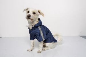KiK_kurtki_przeciwdeszczowe_sztormiaki_dostepne_w_4_rozmiarach_w_kolorze_zoltym_i_niebieskim_cena_od_34_99 Prezent dla świąteczny dla psa pupila